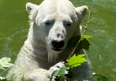 Tierpark